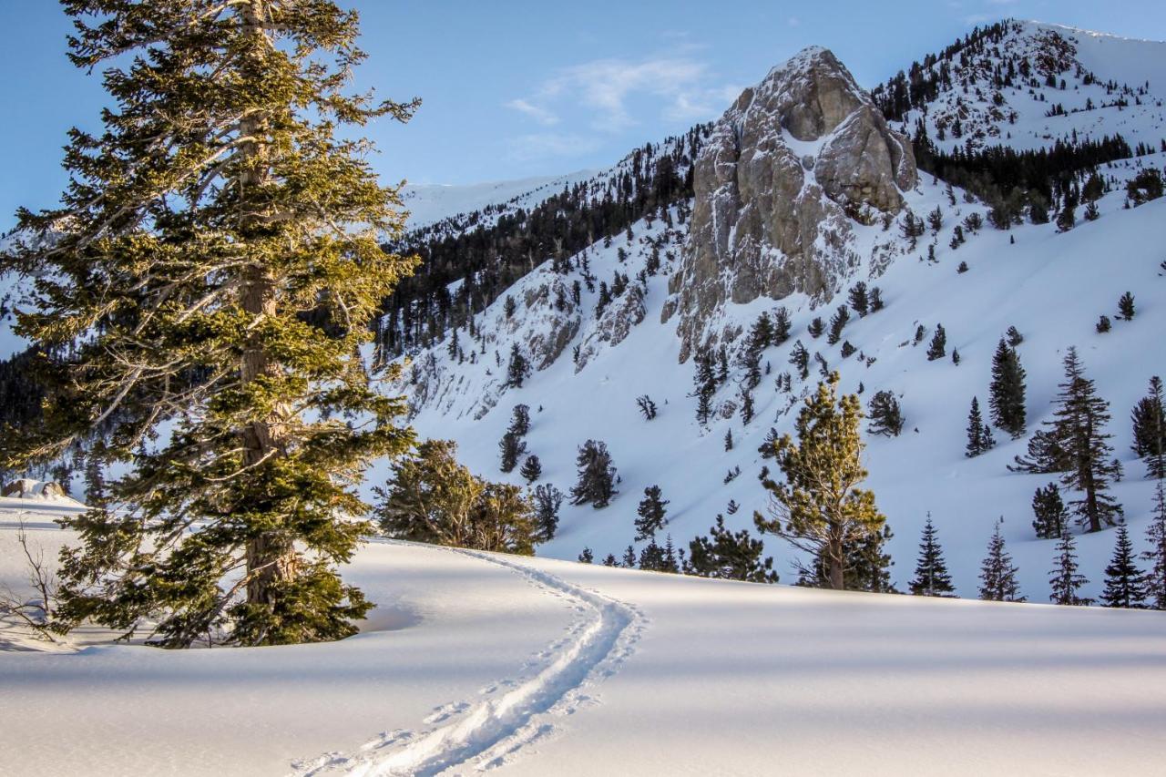 Woodlands 34 Appartement Mammoth Lakes Buitenkant foto